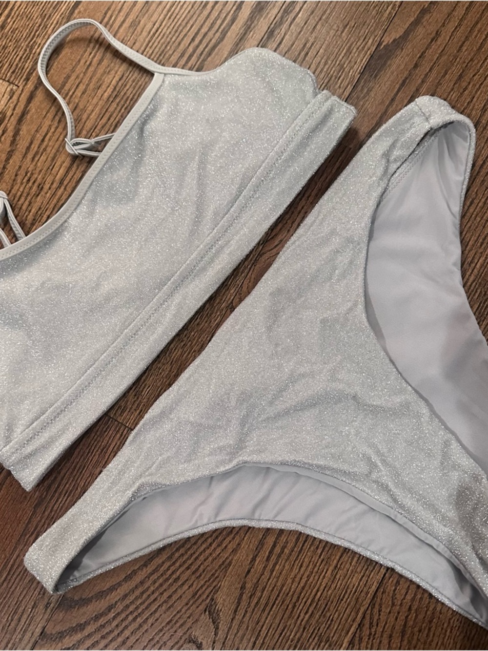 Aerie Silver Glitter Bikini